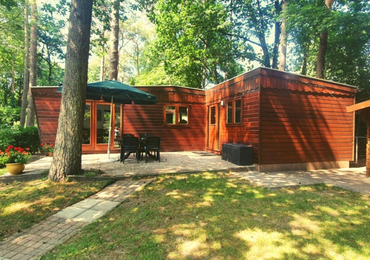 Chalet L2 Dennenrhode Doornspijk Bagian luar foto